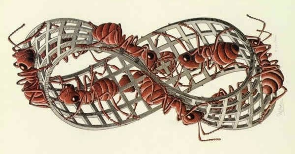 Hormigas de Moëbius, M. C. Escher